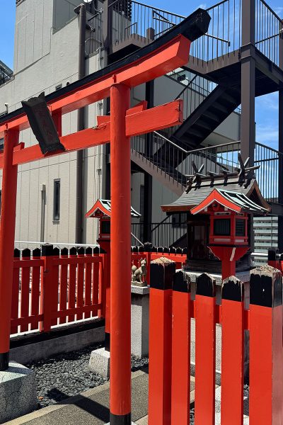 空に一番近い場所で。日常のすぐ側で見つけた「ちいさな神聖」